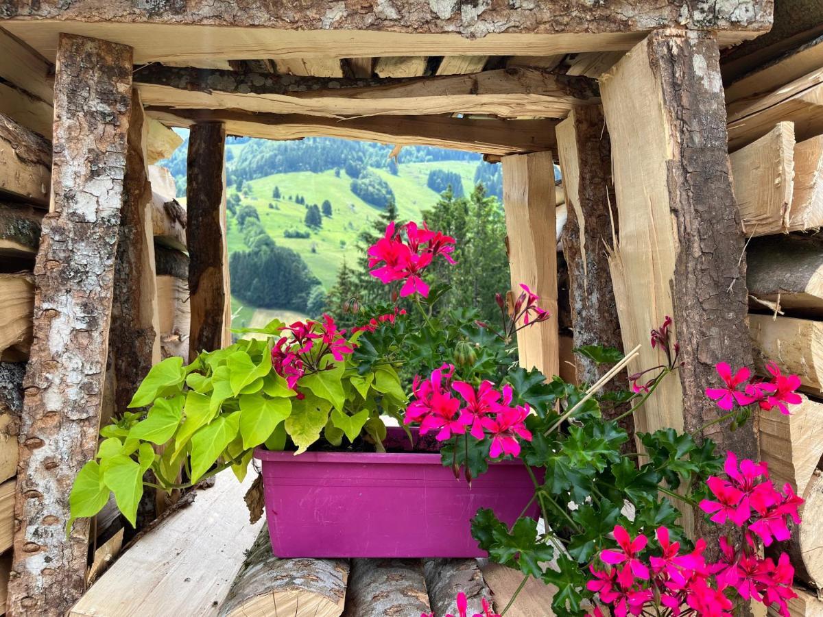 Ferienwohnung Im Historischen Schwarzwaldhaus Wieden Exterior photo