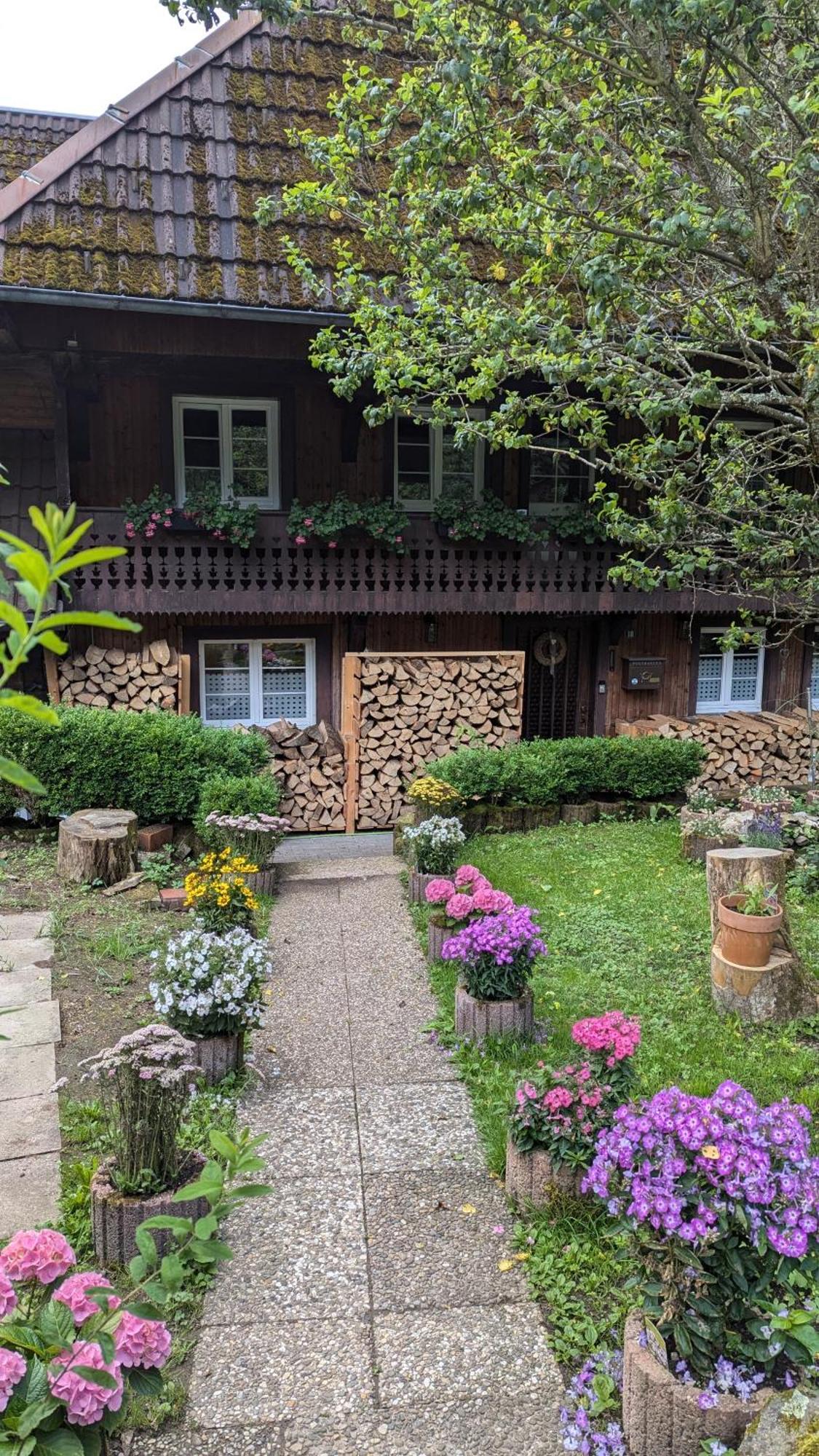 Ferienwohnung Im Historischen Schwarzwaldhaus Wieden Exterior photo